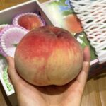 ふるさと納税 桃 山梨