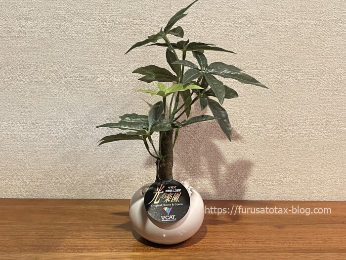 観葉植物　ふるさと納税